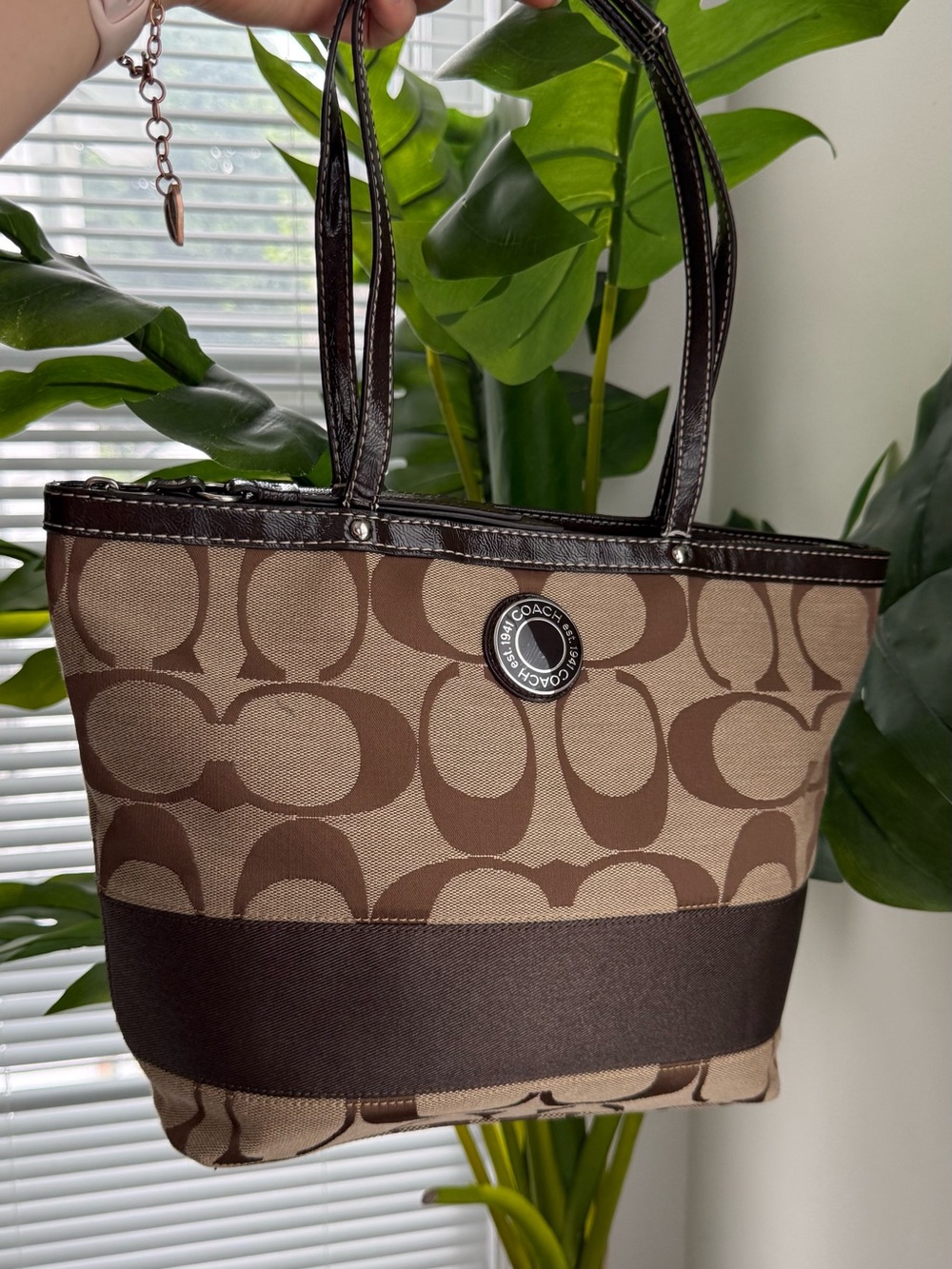 Coach Signature Canvas Tote Bag in Brown